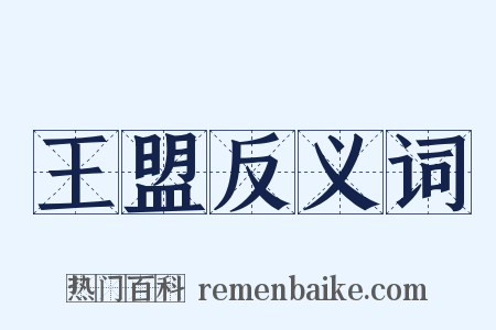 王盟反义词是什么意思的图片